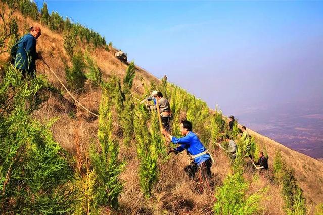 临潼渭河治理最新消息，迈向生态文明的绿色篇章