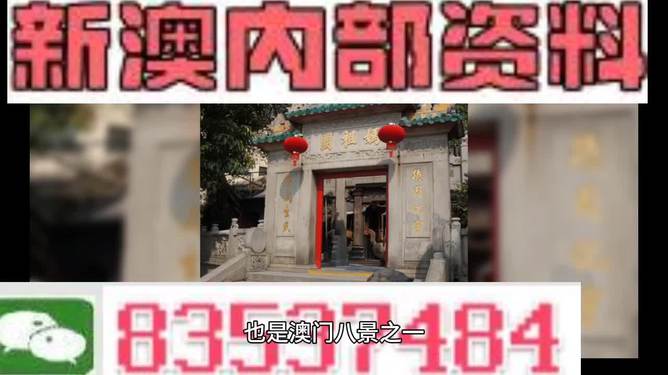 澳门精准免费资料大全，实用释义、解释与落实