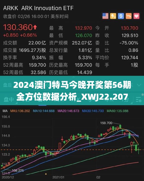 2025年今晚澳门特马，精选解析解释落实