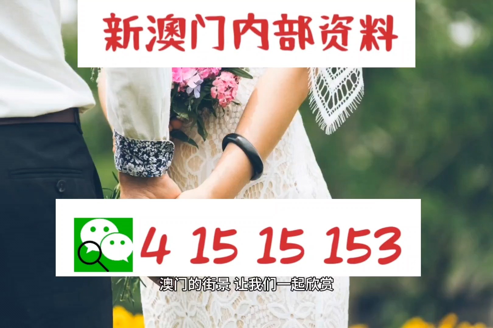 2025澳门免费资料,正版资料;全面释义、解释与落实