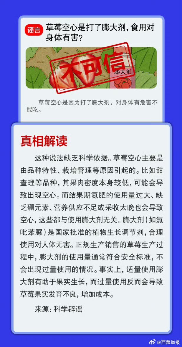 2025全年资料免费大全,详细解答解释落实_的警惕虚假宣传