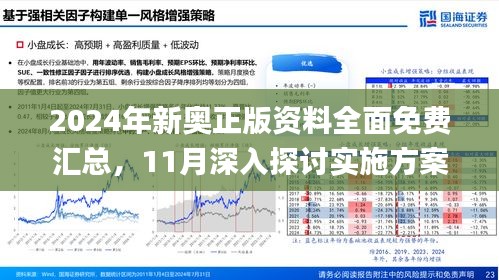 2025新澳精准正版免費資料详细解答、解释与落实
