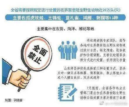 2025年正版资料免费大全,详细解答解释落实_的警惕虚假宣传