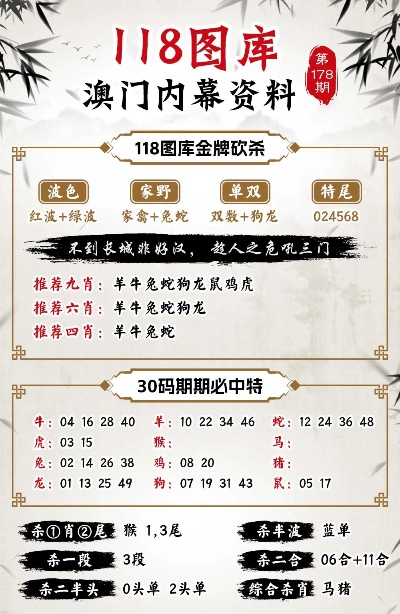 2025澳门今晚必开一肖,详细解答、解释与落实