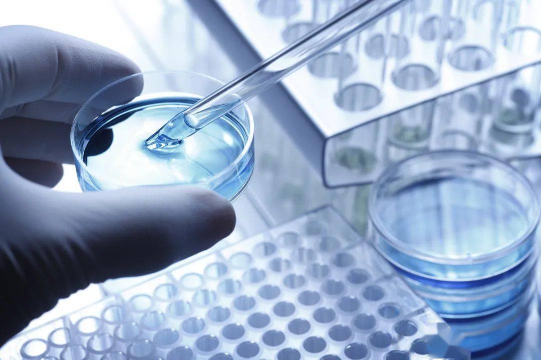 2025新澳门精准正版免费,详细解答解释落实_的警惕虚假宣传