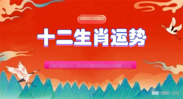 澳门一肖一码一待一中资料，实用释义解释落实