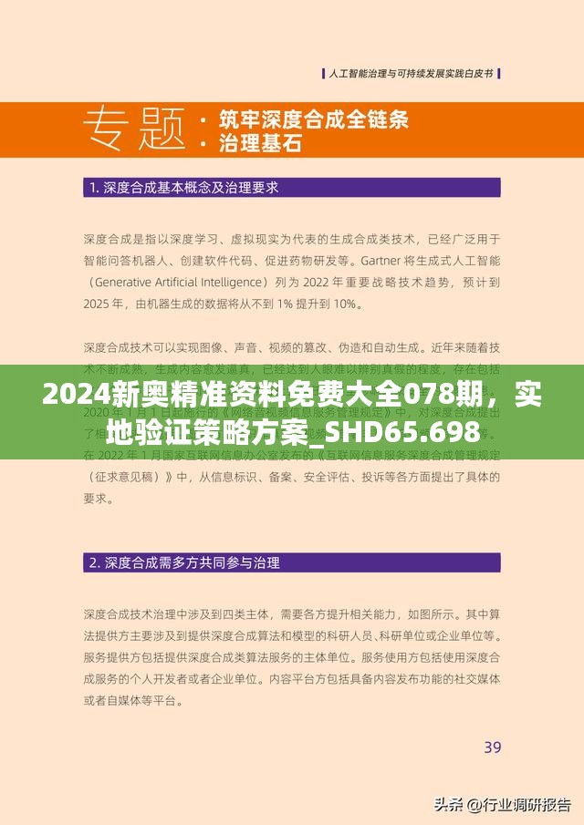 新澳2025年最新版，词语释义与实施路径的深度解析