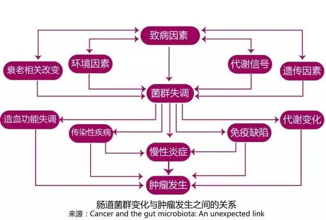 精准医疗的未来，新奥全年免费自动精准大全的精选解析与实施路径