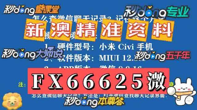 新澳门2025资料大全精选解析，词语释义解释落实