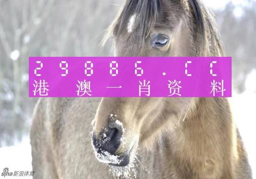 澳门一码一码100准确最全详细解答、解释与落实