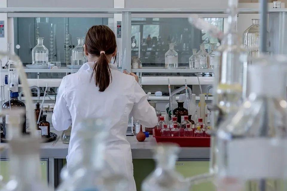 2024澳门精准正版免费,详细解答解释落实_的警惕虚假宣传