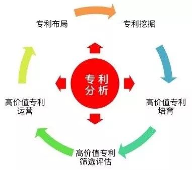 2025澳门特马今晚开网站,详细解答、解释与落实