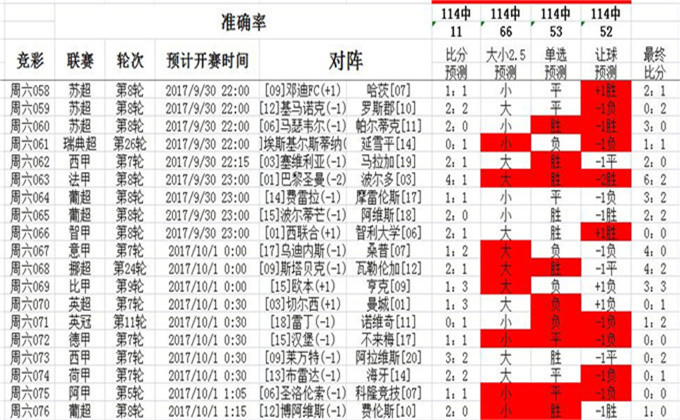 王中王493333中特马,详细解答、解释与落实